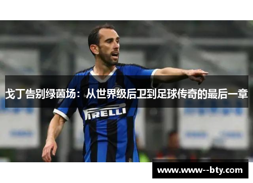 戈丁告别绿茵场：从世界级后卫到足球传奇的最后一章